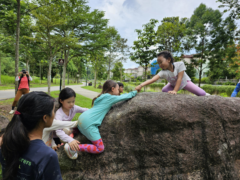 From Crawling to Climbing: Why Physical Risk-Taking Is Essential in Early Childhood