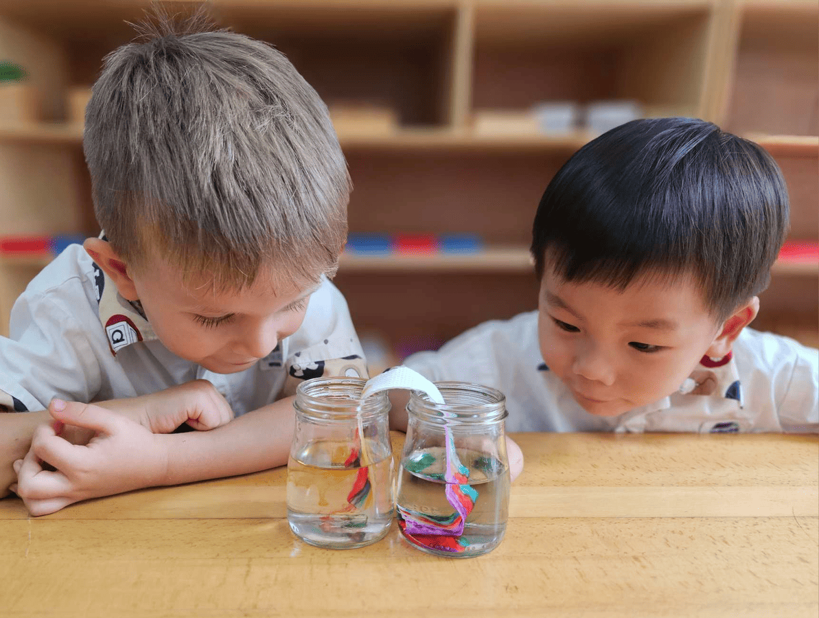 Montessori At Home: Science Activities That Encourage Curiosity and Discovery
