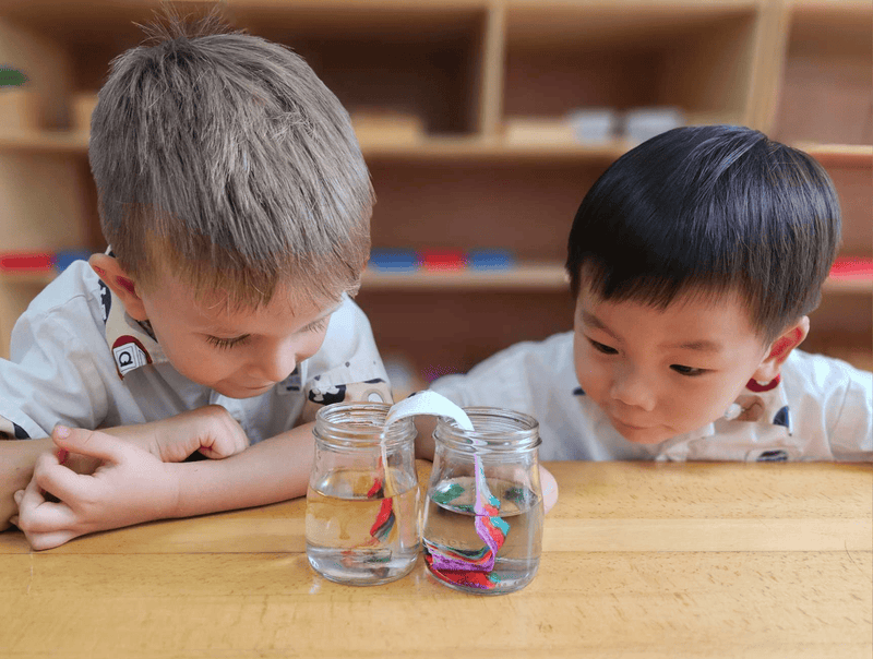 Montessori At Home: Science Activities That Encourage Curiosity and Discovery