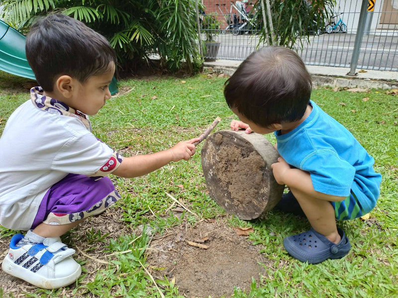 Nature as the Third Teacher: How Outdoor Spaces Build Cognitive, Social & Emotional Growth