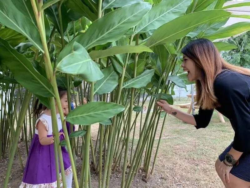 Montessori At Home: Exploring Nature Together!