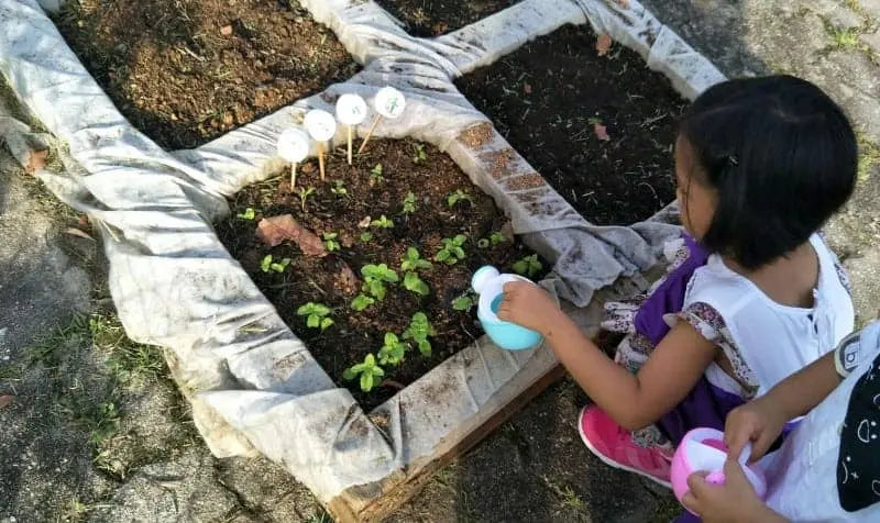 Montessori At Home: Indoor Gardens!