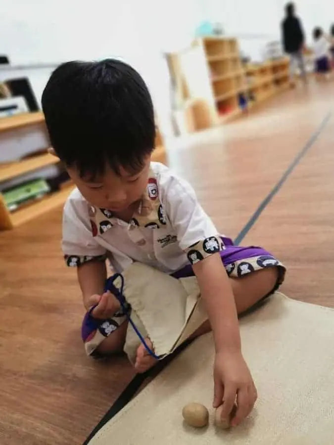 Montessori At Home: Mystery Bag