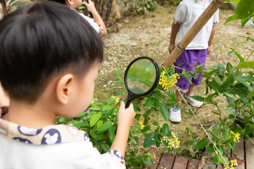 Nature as a Classroom: A Montessori View of Outdoor Learning
