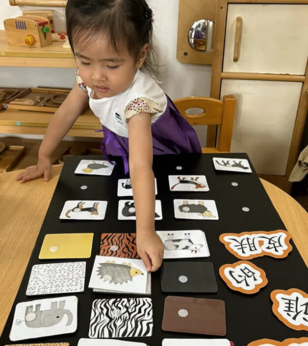 Fostering Lifelong Language Learning