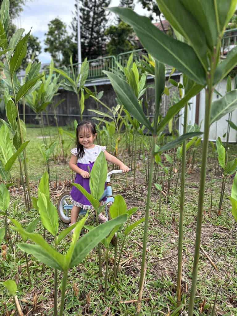 Nature as Classroom