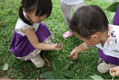House of the Hill Strategies to Nurture Self-Confidence and Self-Esteem for Pre-schooler